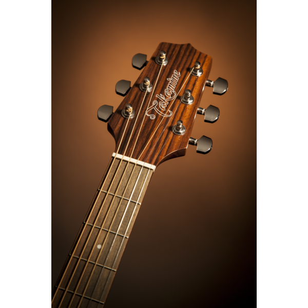 GN30CE Semi-Acoustic Guitar