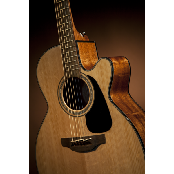 GN30CE Semi-Acoustic Guitar