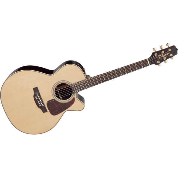 P5NC NEX Semi Acoustic Guitar