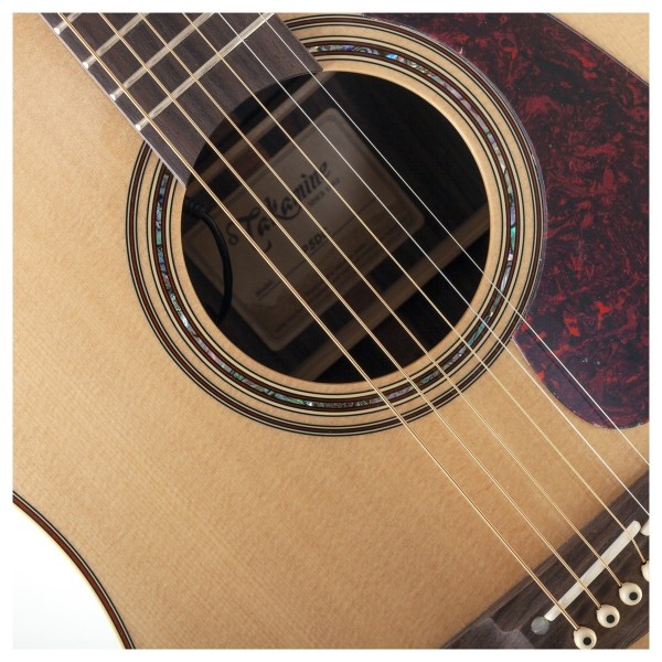 P5DC Dreadnought Electro Acoustic